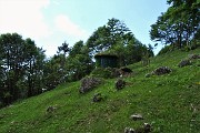 Al Pizzo Grande e al Monte Molinasco da Alino di S. Pellegrino il 25 maggio 2020-FOTOGALLERY